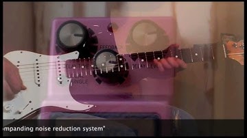 Maxon AD9Pro Analog Delay