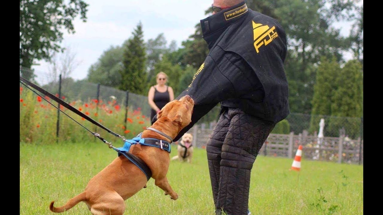 Tuta protettiva per addestratore [PBS1#1061 Tuta protettiva