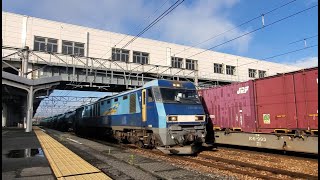 篠ノ井駅AM6:25入線「JR貨物EH200 21号機ブルーサンダー(Blue Thunder/ECO-POWER)」