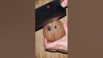 How to remove coconut flesh from shell#trending #shorts