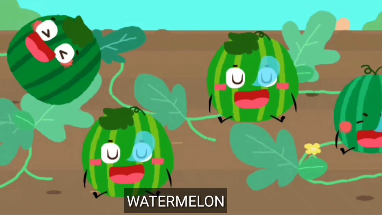 Watermelon journey cartoon story - YouTube