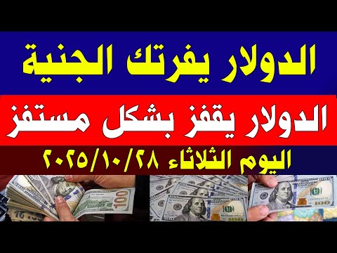 سعر الدولار في مصر اليوم اسعار الدولار اليوم في مصر اليوم الثلاثاء 2025 10 28 في مصر
