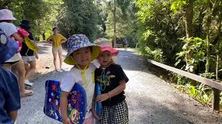 Iphone Video - Portrait Of B 2020 & 2021