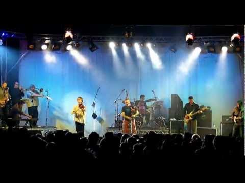 Peatbog Faeries - Dun Beag @ Wickham Festival 2011