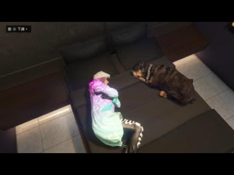【GTA5】是小查～