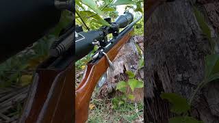 Pcp Mu Boleh Lebih Mahal.tapi Ini Lewat Kau Hormat,, Rajanya Pcp