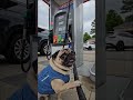 Im tired of this gas prices #pug #pet #funny #gas #gasprices #horse #horseriding #petlover #cute