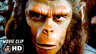 'Ape Has Killed Ape!' BATTLE FOR THE PLANET OF THE APES Final Scene (1973)