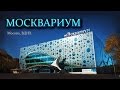 "Москвариум". Океанариум на ВДНХ в Москве