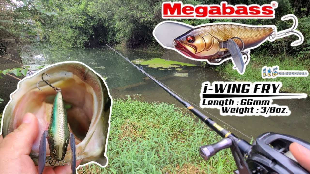 배스낚시 탑워터 Megabass I-WING FRY BassFishing EP132