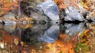 Elyria's Cascade Park ablaze in fall color