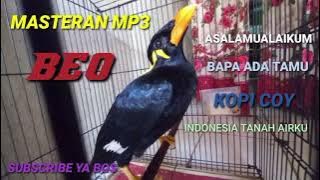 TERAPI masteran burung beo assalamualaikum,BAPA ADA TAMU,KOPI COY