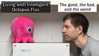Living with Intelligent Octopus Flux  the good, the bad, and the weird