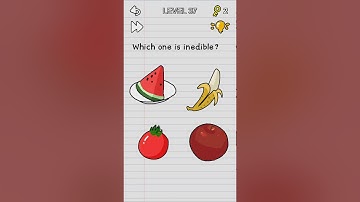 Stump Me! Level 1 - 90 Walkthrough iOS