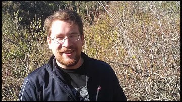 Josh Lane Sample Bird Language Story