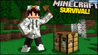 Nova série | Minecraft Survival #01