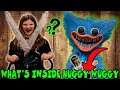 What's Inside Huggy Wuggy? Cutting Open Poppy's Playtime Villain!