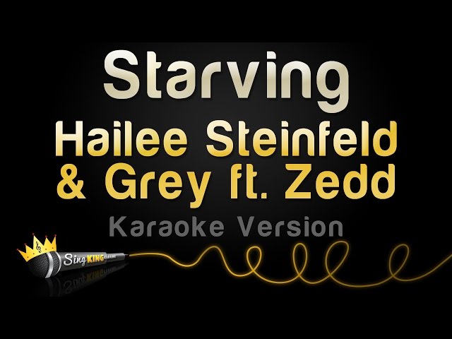 Hailee Steinfeld & Grey ft. ZEDD - STARVING (Karaoke Version) class=