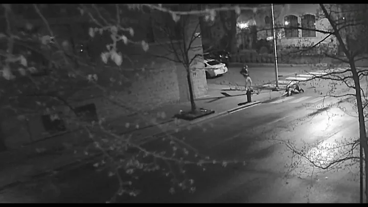 Tyshon Brownlee charged in shooting that wounded D...