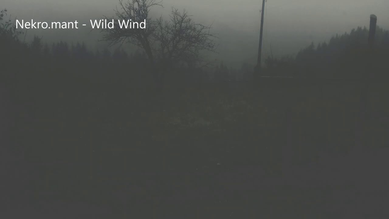 Nekro.mant - Wild Wind 【Original Track】