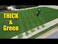 Make your lawn thick and green