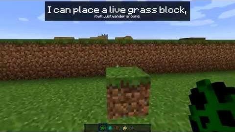 Commanded Minecraft | Blocks... that are alive?