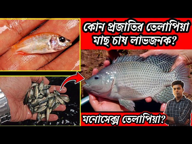 Сексуалдық порно форумдар Жасөспірімдермен жыныстық қатынас пен айыру туралы сексенінші фильмдер күшті