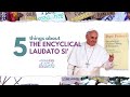 Discover 5 facts about Laudato Si&#39; you probably didn&#39;t know 💚