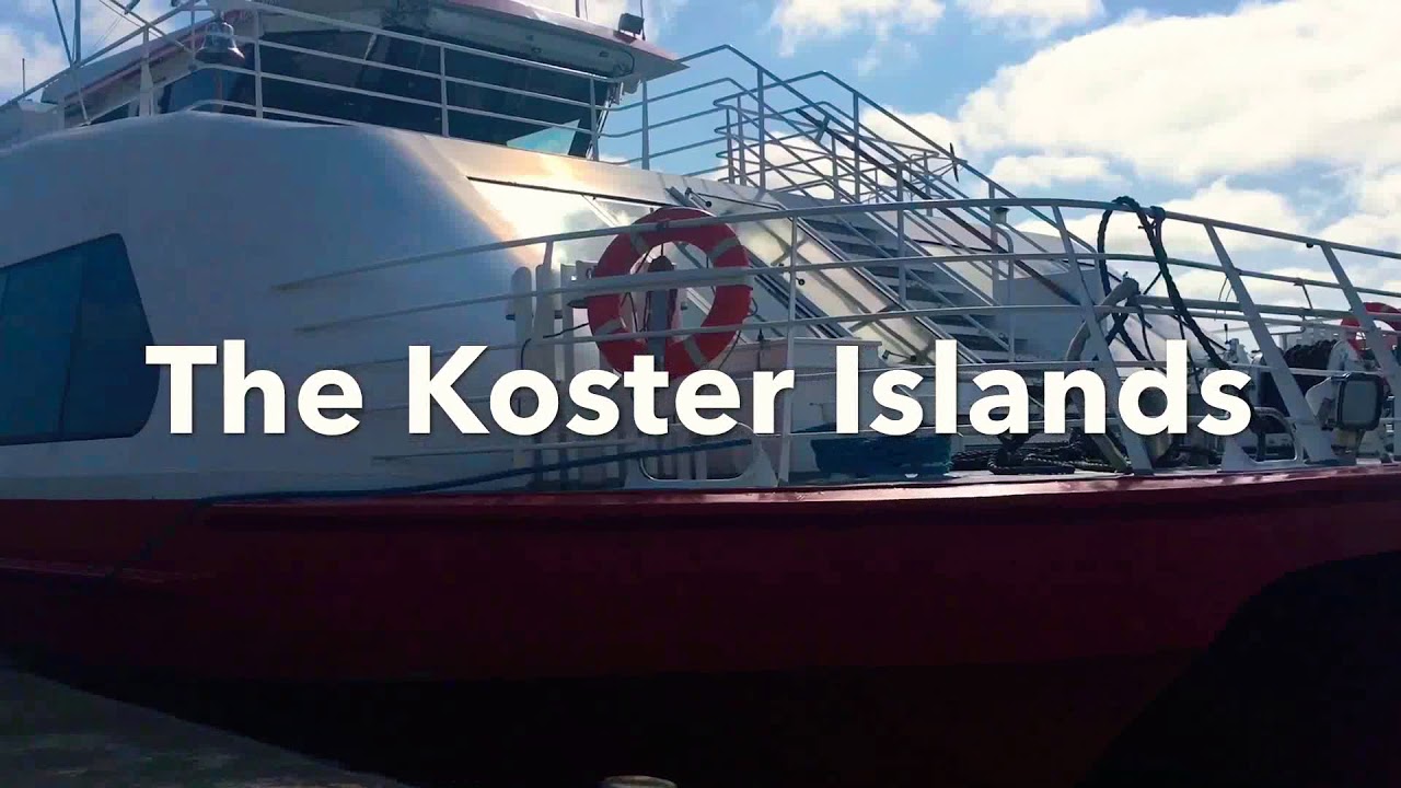 The Koster Islands