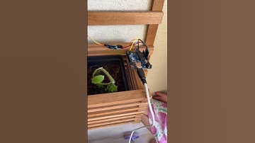 Sensor umidade, Buzzy Arduino - Lissa