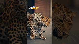 Famous #DreamScreenAI #kindnessiscool #hungergamestiktok #wildlifeshorts #wildcreations #junglelife Profile