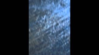 IMG 0092