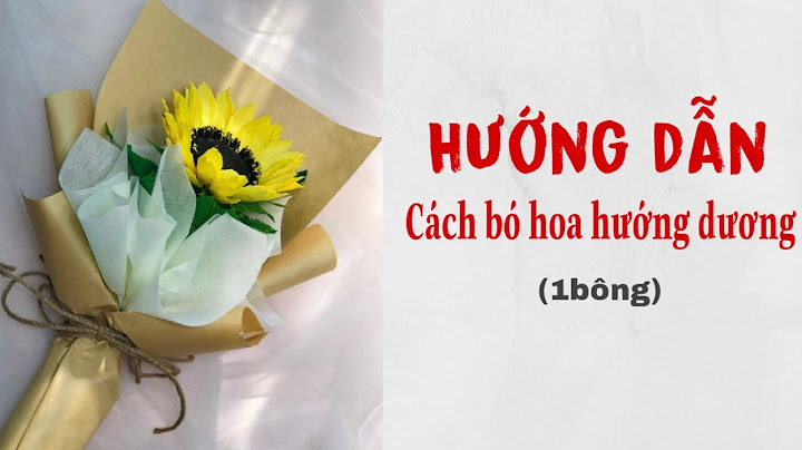 Hoa hướng dương bao nhiêu 1 bó năm 2024