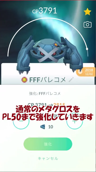 メガメタグロス2のポケモン相方