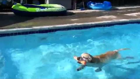 The Boys swiming