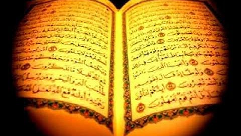 سورة الفتح - صلاح البدير