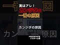 カンジタ原因で一番多いのはアレ。＃カンジタ症　＃カンジダ原因　＃カンジタ治し方　＃カンジタ自分で治す