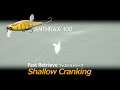 【ANTHRAX】Shallow Cranking(Fast Retrieve)