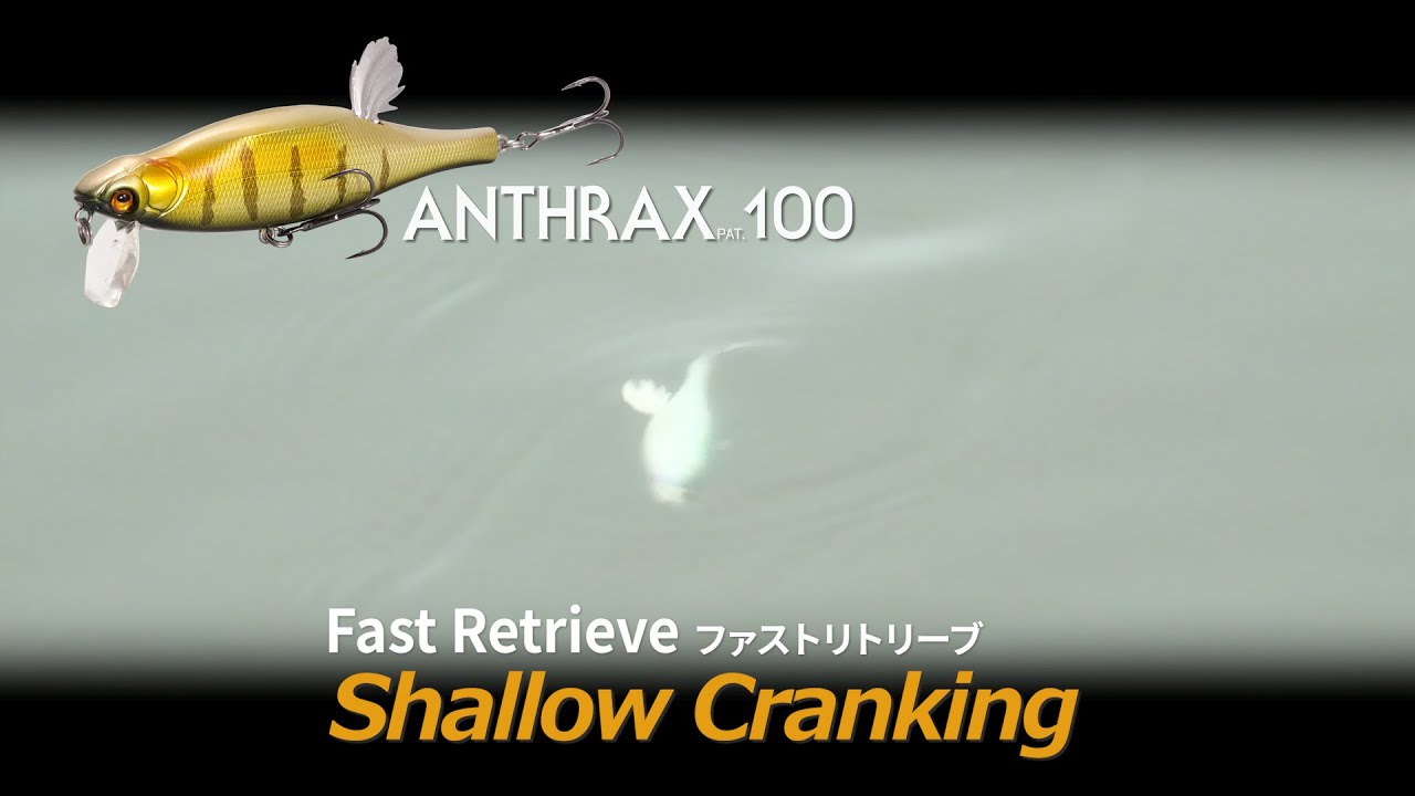 Megabass Anthrax 100
