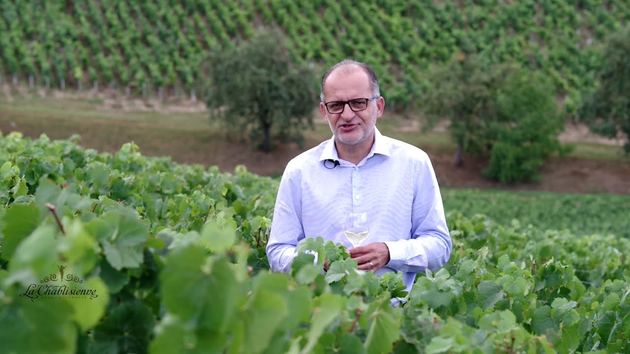 La Chablisienne - Chateau Grenouilles