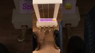 Piano With 4 Pedals  piano pianista
