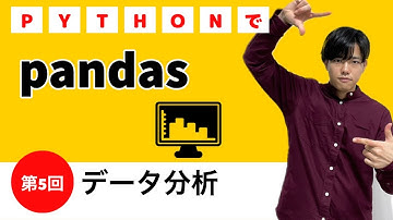 【pythonでデータ分析#5】pandas