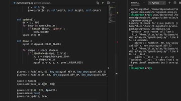 Pong utilizando Pymunk