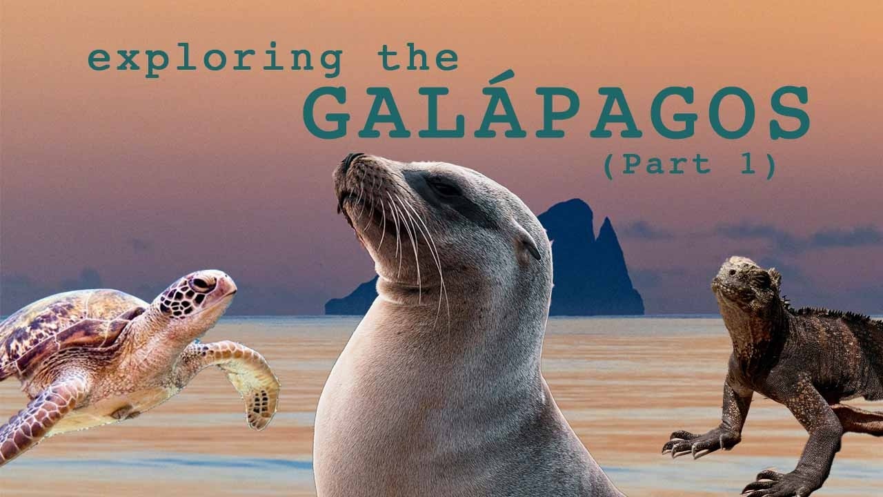 ⁣Sailing Through Nature’s Masterpiece where Animals Rule 🌍 | Galápagos Part 1 (EP020)