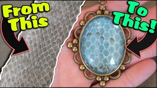 How to Turn your Reptile's Shed Skin into Jewelry!