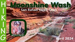 Hiking Moonshine Wash (Utah) with our dog! (We see a triple-rainbow, moonshine, and a sheep-bridge!)