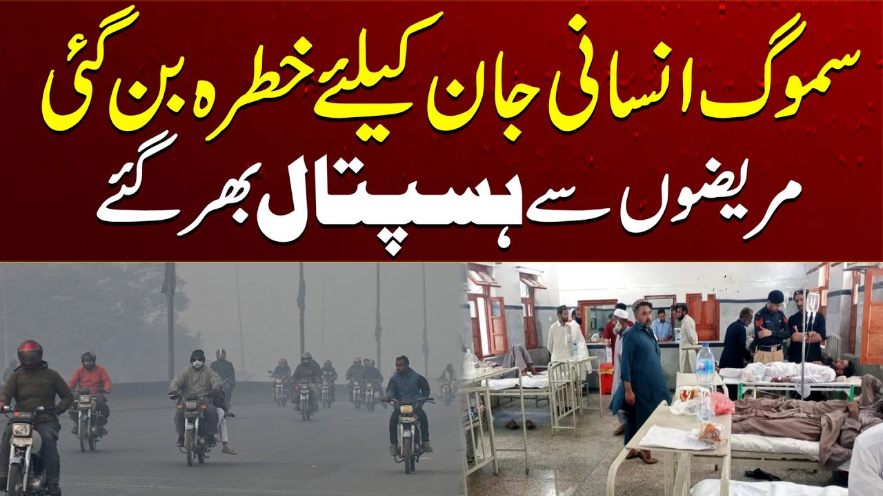 Smog Is Danger | Breaking News | City 41 - YouTube
