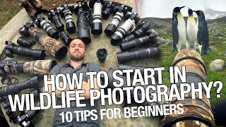 Wildlife Photography for Beginners - How to Start? 10 tips you should learn by Roie Galitz 99,903 views 3 years ago 9 minutes, 13 seconds