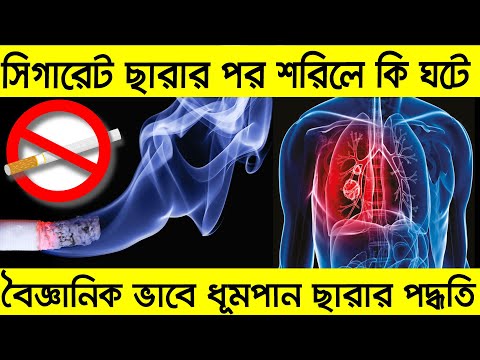 ভিডিও: কেন মেশানো একটি শারীরিক পরিবর্তন?