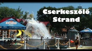 Cserkeszőlő Gyógy- és Strandfürdő Hungary